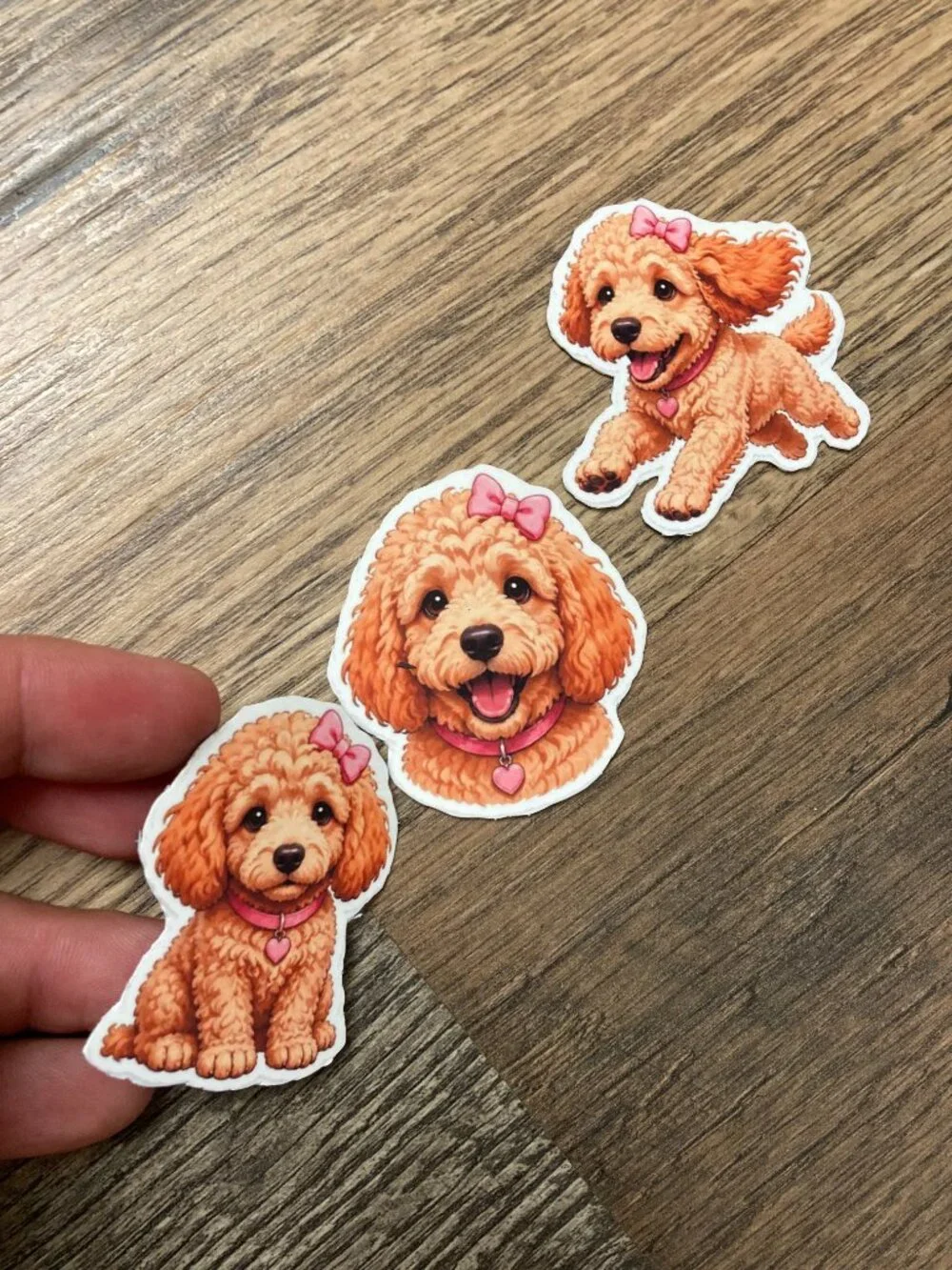 3 Flexible Dog Magnets Girl Mini Goldendoodle Puppy Refrigerator Fridge set